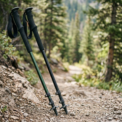Collapsible Trekking Poles (Set of 2)