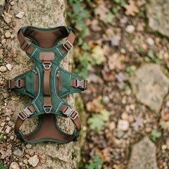 Dog Hiking Backpack Harness